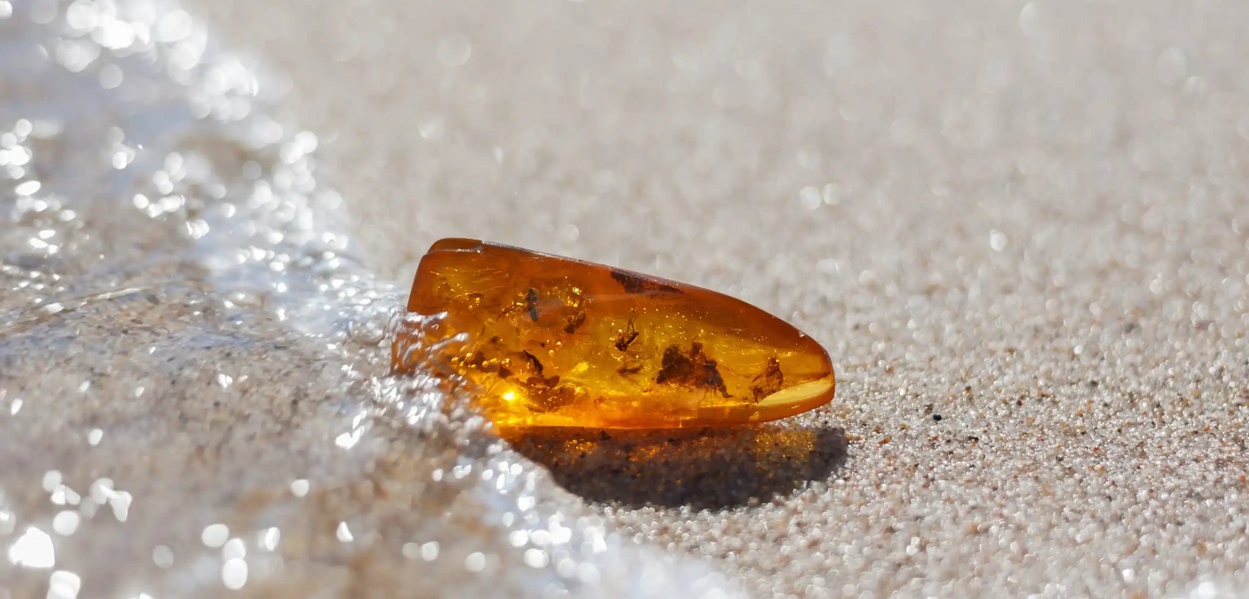 Baltic Amber, A Rare Detail for a Story Worth Keeping