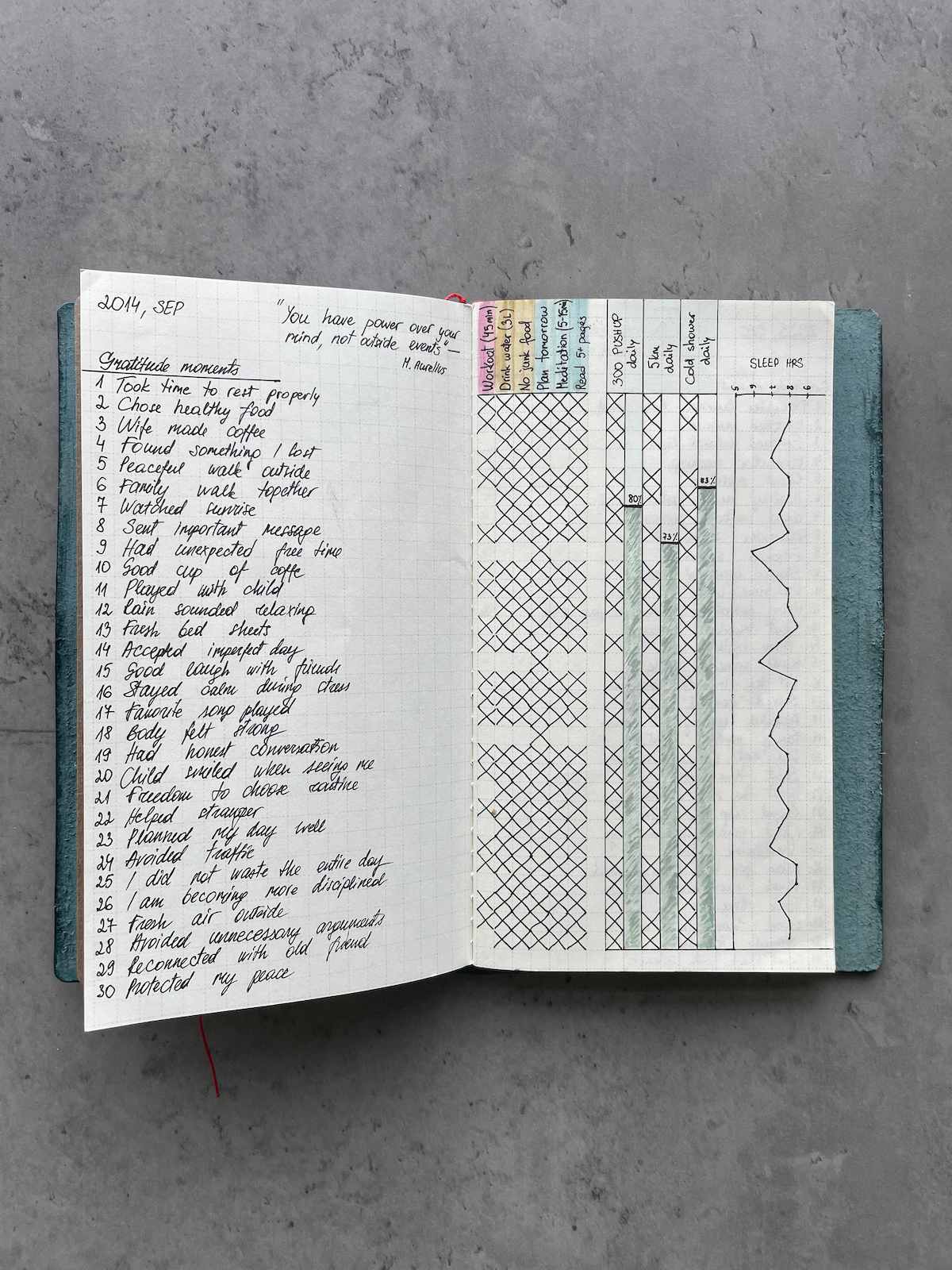 habit-tracking-journal-from-2014-example.jpg